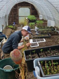 Create a Vision Using Garden-Planning Lists Image